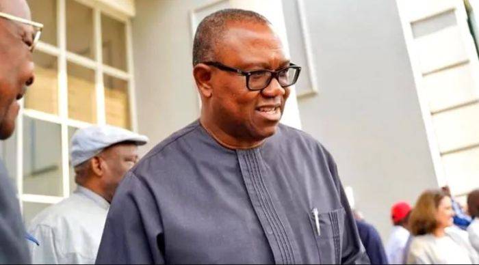 “Lead the Protests Like Tinubu & Buhari” – Presidency Orders Peter Obi