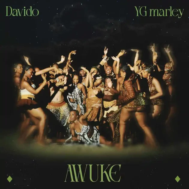 Davido – “Awuke” Ft. YG Marley