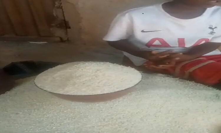 Garri That Is Processed in Kaduna Is ₦850 Per One Measure (Video, Picture)